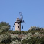 A very pretty windmill between Domaine Bachey-Legros in Santenay and 10 Puligny Montrachet where we come for our holidays